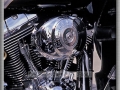 100th Anniversary Edition