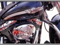 100th Anniversary Fat Boy