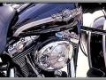 100th Anniversary Electra Glide