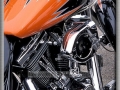 Classic Hog