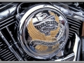 Live to Ride - Ride to Live