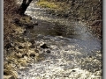 Sauk Creek Heading for the Sea