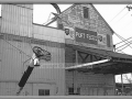 Port Feeds