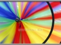 Garden Color Wheel