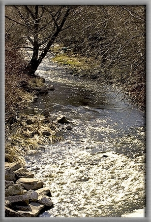 Sauk Creek Heading for the Sea