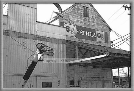 Port Feeds