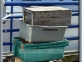 Fish Tubs - Sheboygan, WI