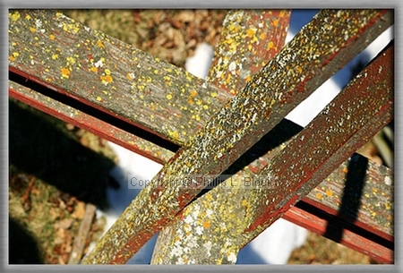 Weathered Net Drying Rack - Sheboygan, WI