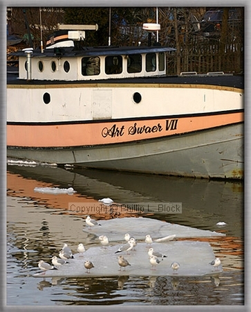 Art Swaer VII and Gulls - Two Rivers, WI