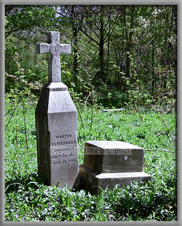 Irish Hollow Cemetery, Rockland, MI