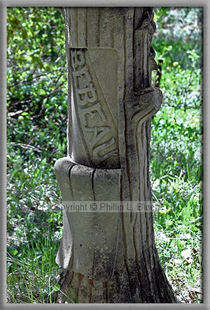 Irish Hollow Cemetery, Rockland, MI