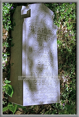 Irish Hollow Cemetery, Rockland, MI