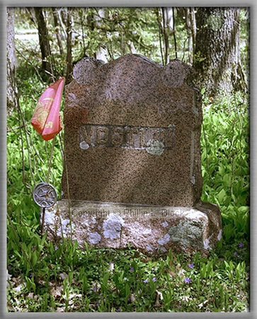 Irish Hollow Cemetery, Rockland, MI