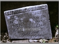 Irish Hollow Cemetery, Rockland, MI