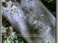 Irish Hollow Cemetery, Rockland, MI