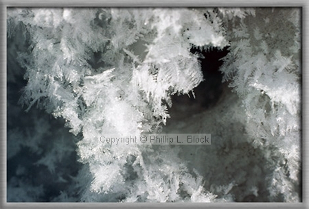 Nature's Frosted Finery