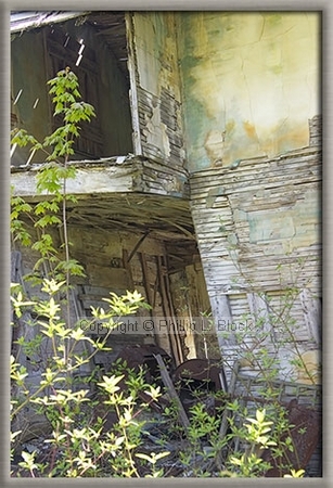 Old Victoria Settlement, A Keweenaw Heritage Site