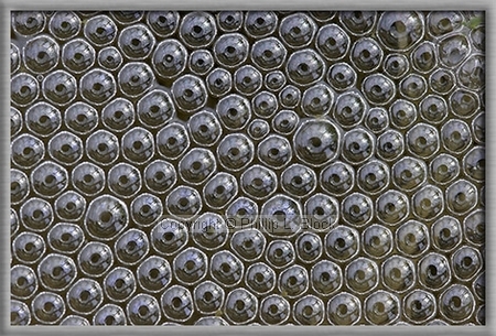 Tiny Bubbles