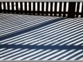 Fence, Snow, and Shadows