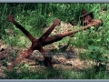 Relics of the Old U.P. – Saw Mill Ruins