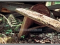 Relics of the Old U.P. – Saw Mill Ruins