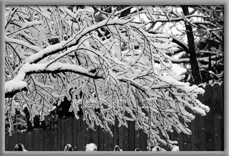 Snowy winter day in Wisconsin