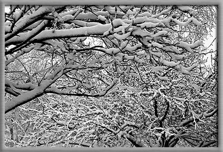 Snowy winter day in Wisconsin