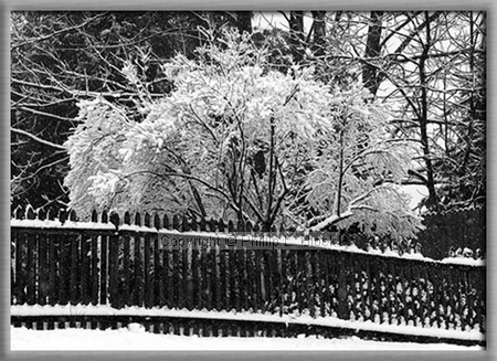 Snowy winter day in Wisconsin