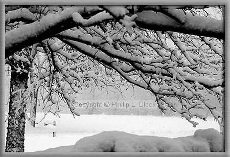 Snowy winter day in Wisconsin