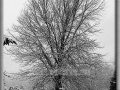 Snowy winter day in Wisconsin