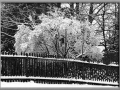 Snowy winter day in Wisconsin