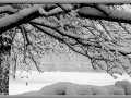 Snowy winter day in Wisconsin