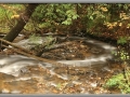 Below Wagner Falls, Michigan