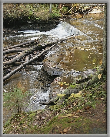Haymeadow Falls, Michigan