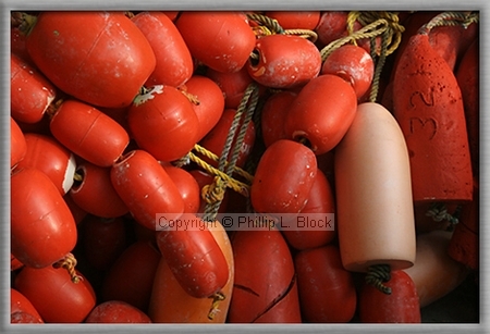 Net Floats