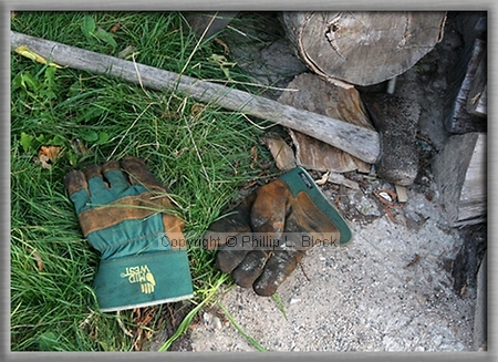 Axe, Gloves and Woodpile