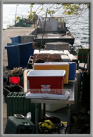 Coolers Lined Up on Dock