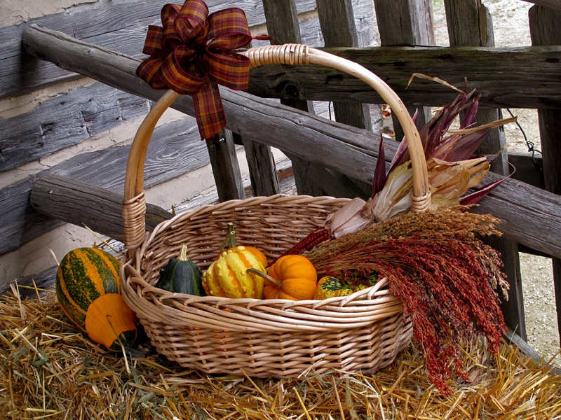 Autumn at the Village 2014