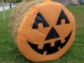 Autumn at the Village 2014