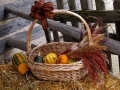 Autumn at the Village 2014