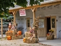 Autumn at the Village 2014