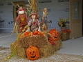 Autumn at the Village 2014