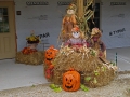 Autumn at the Village 2014