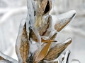 Frosted Milkweed Pods