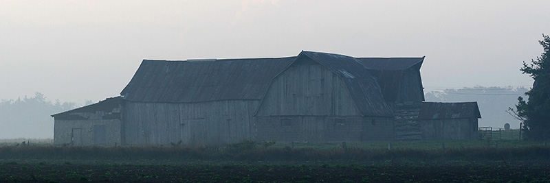 Foggy Morning in Delta County, Michigan