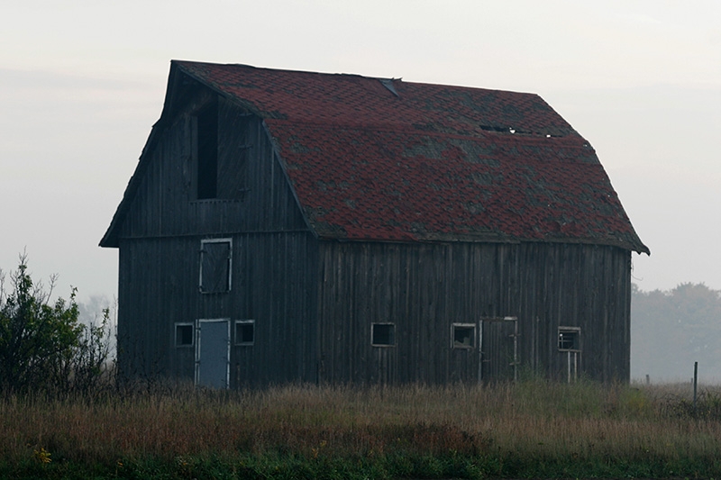 Foggy Morning in Delta County, Michigan
