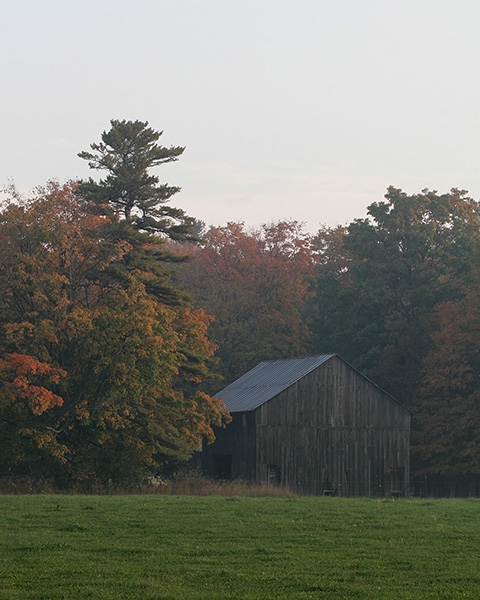 Foggy Morning in Delta County, Michigan