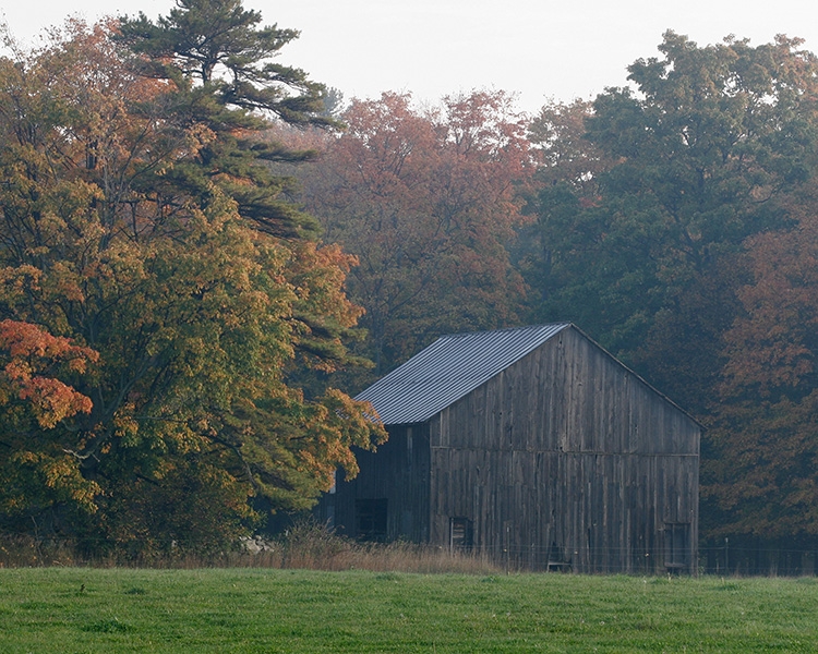 Foggy Morning in Delta County, Michigan