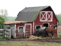 Iron County, Michigan