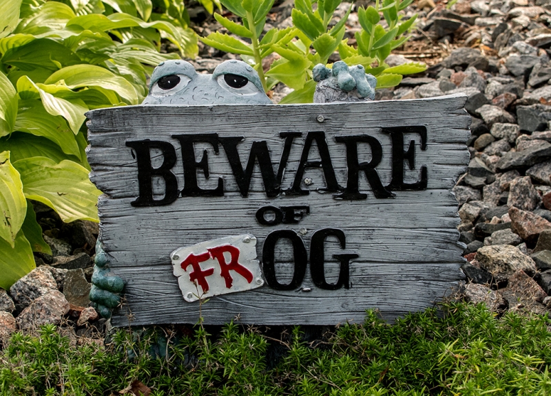 Beware of Frog